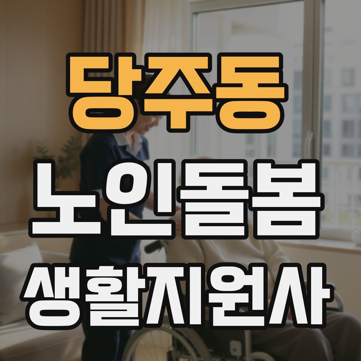 당주동 노인돌봄생활지원사 자격증