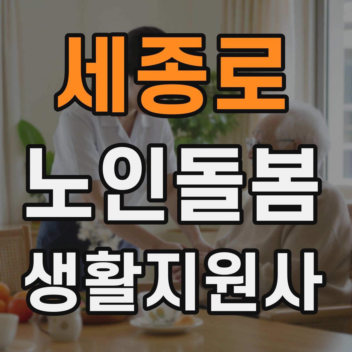 세종로 노인돌봄생활지원사 자격증