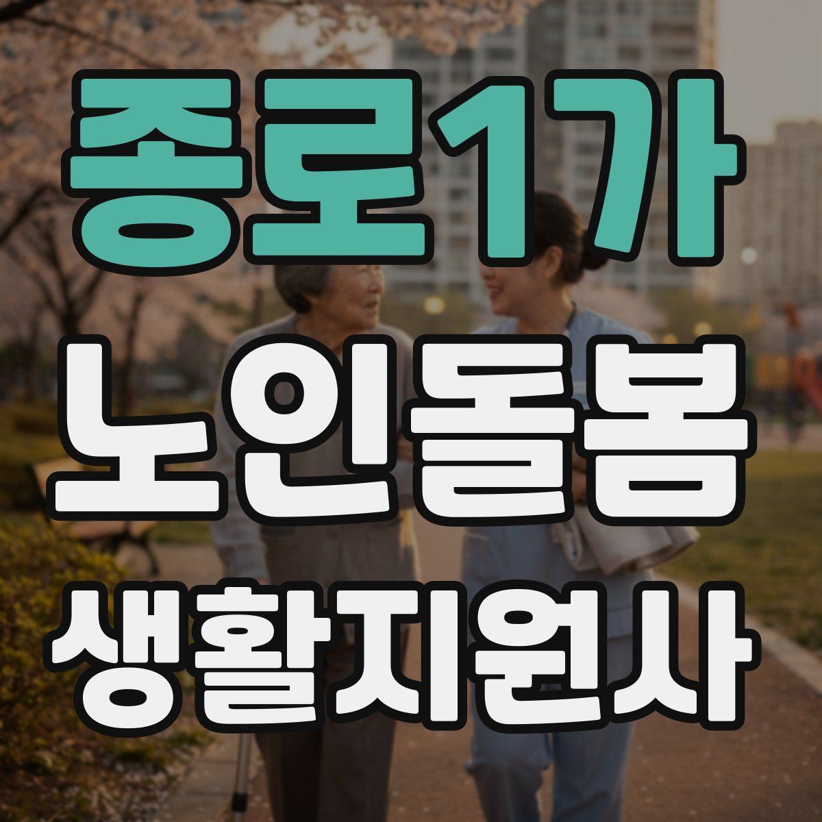 종로1가 노인돌봄생활지원사 자격증