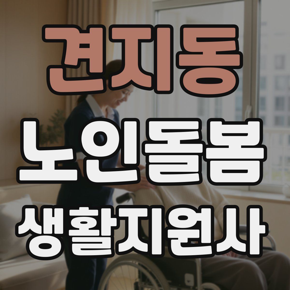 견지동 노인돌봄생활지원사 자격증