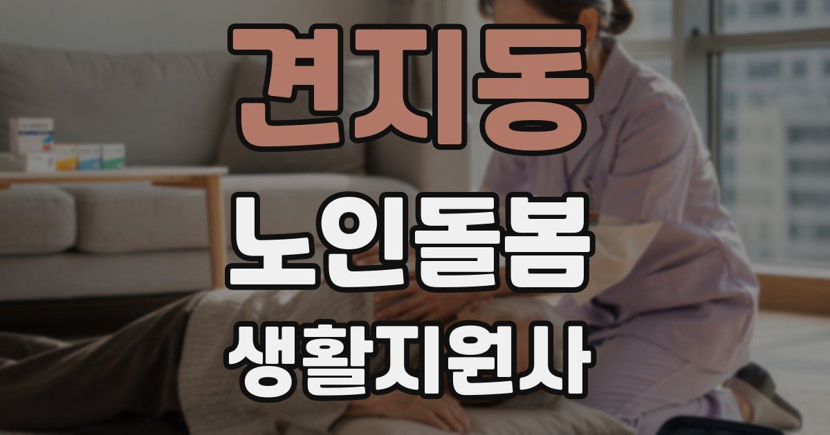 견지동 노인돌봄생활지원사 자격증