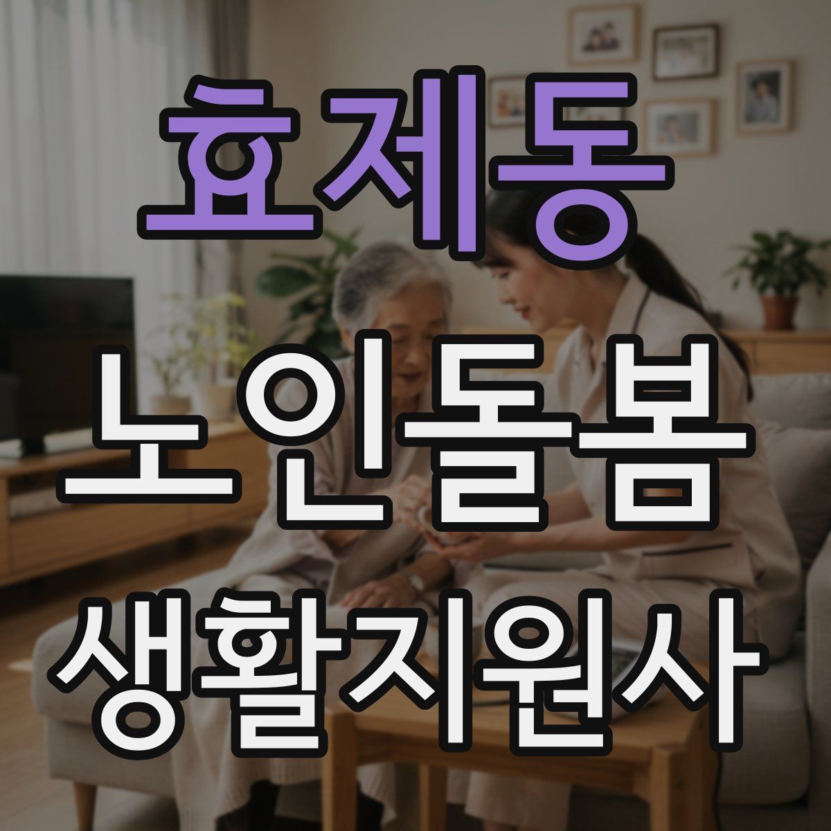 효제동 노인돌봄생활지원사 자격증