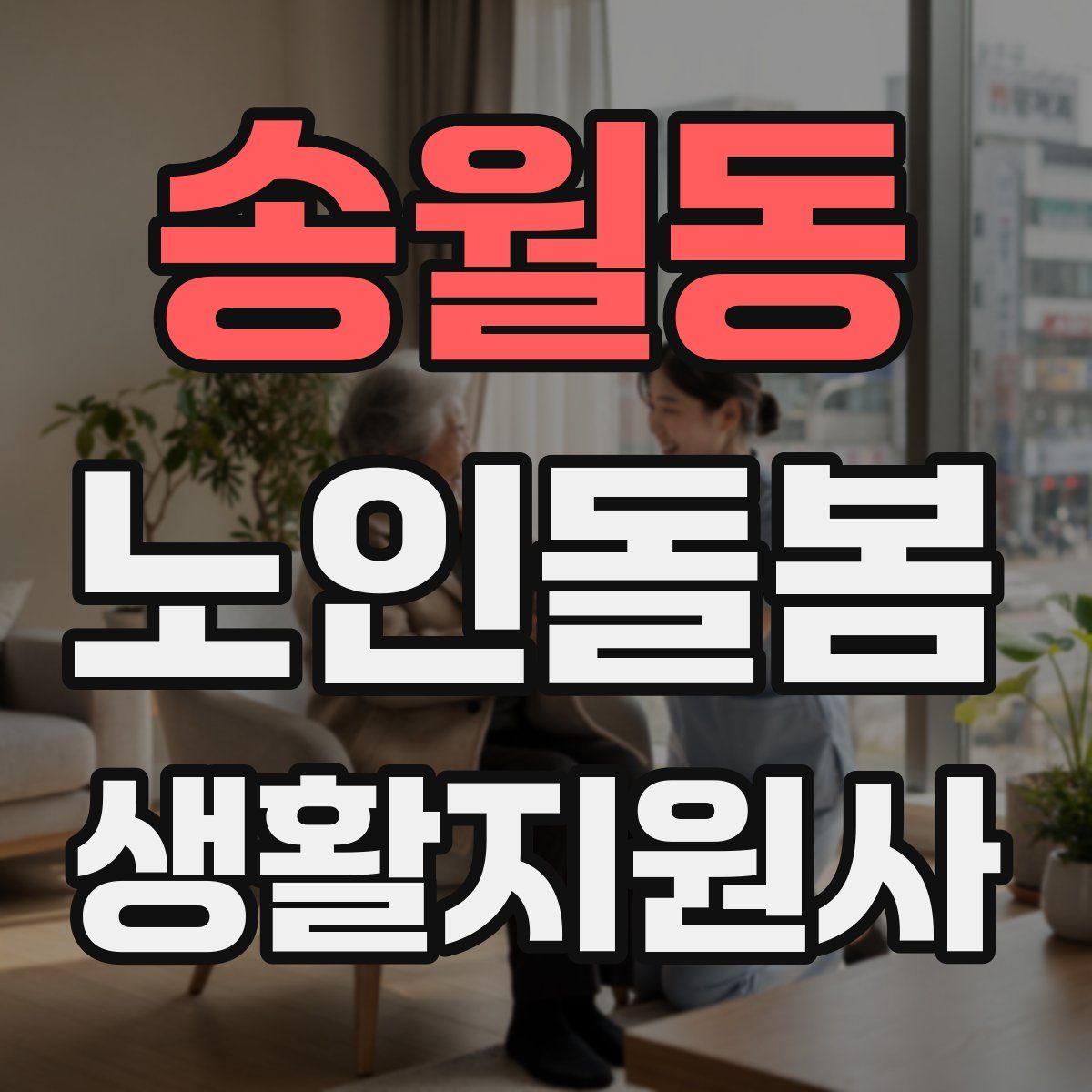 송월동 노인돌봄생활지원사 자격증