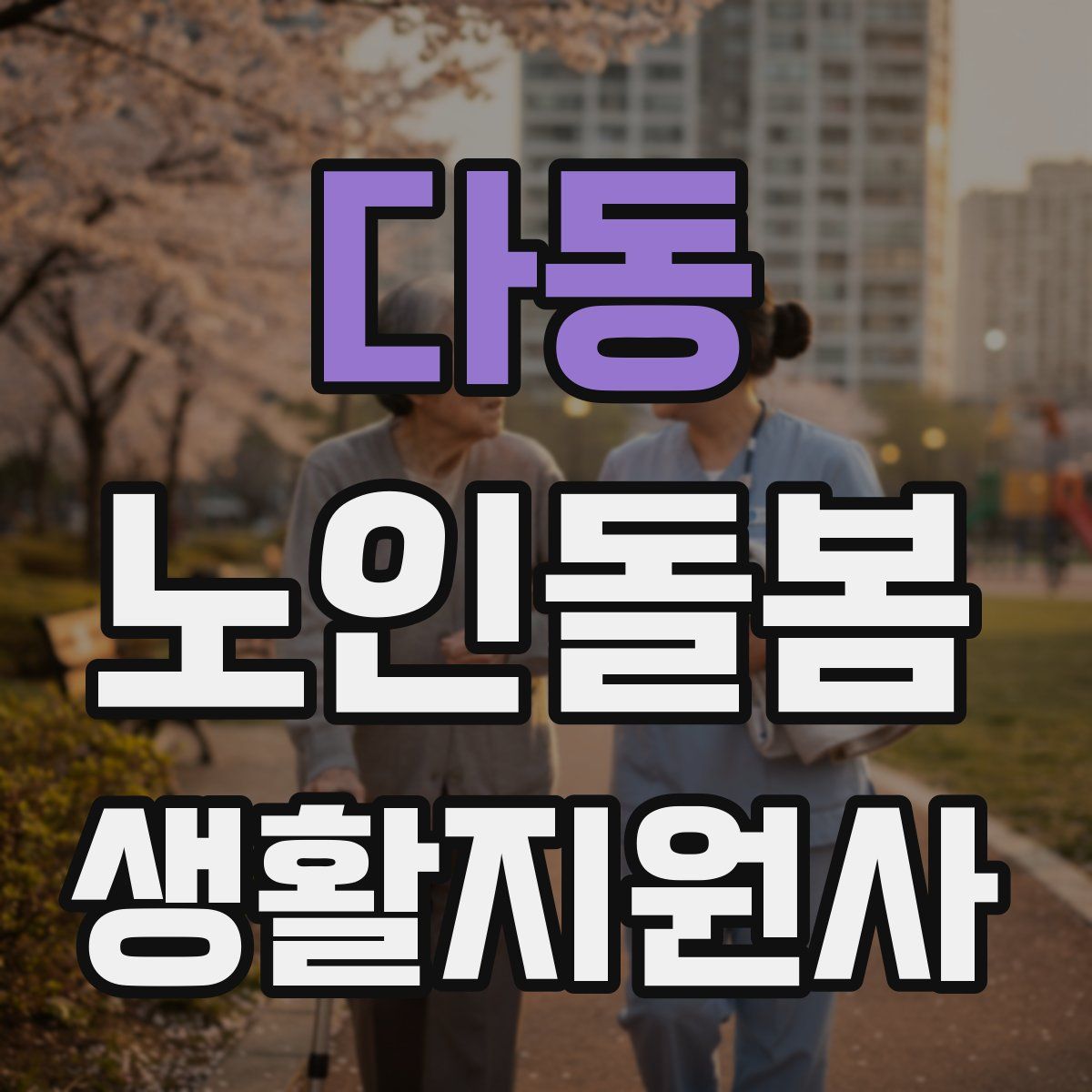다동 노인돌봄생활지원사 자격증