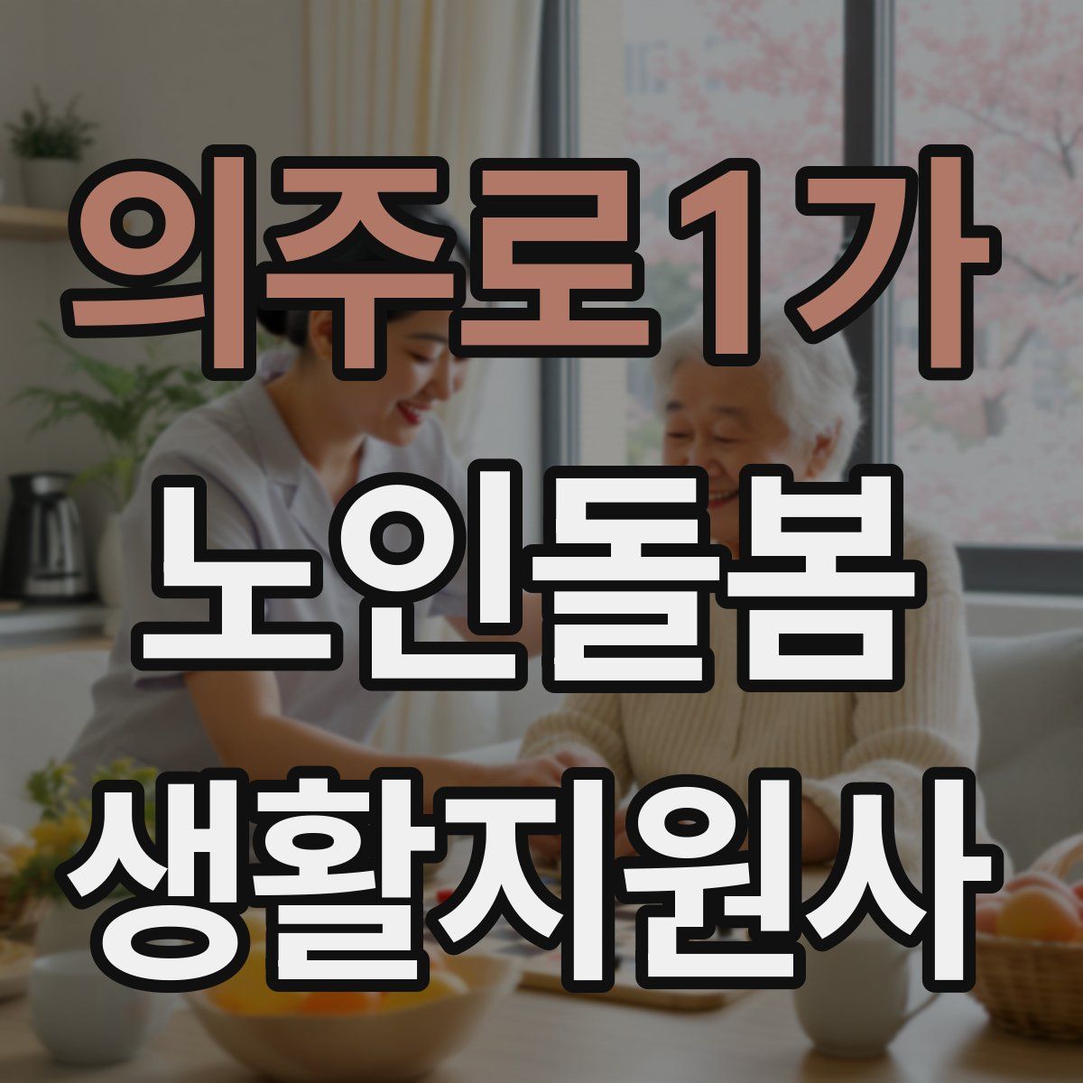 의주로1가 노인돌봄생활지원사 자격증