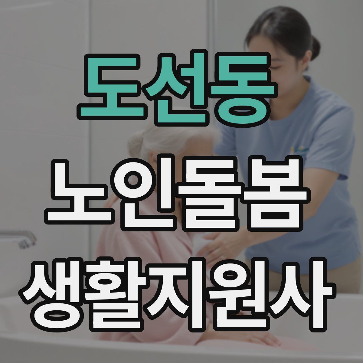 도선동 노인돌봄생활지원사 자격증