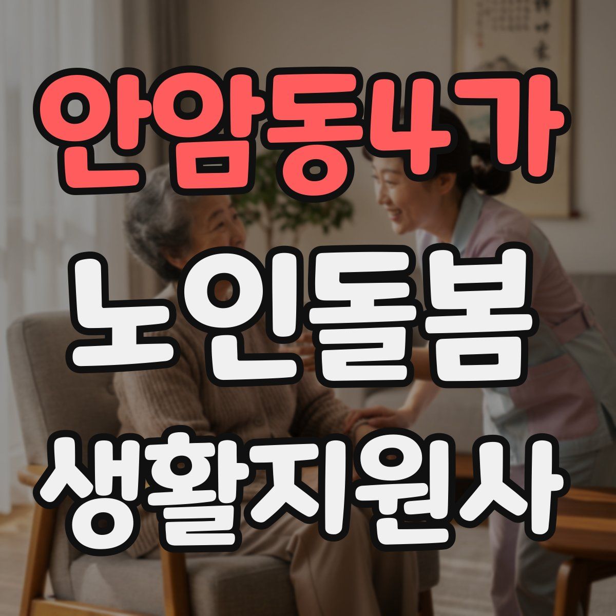 안암동4가 노인돌봄생활지원사 자격증