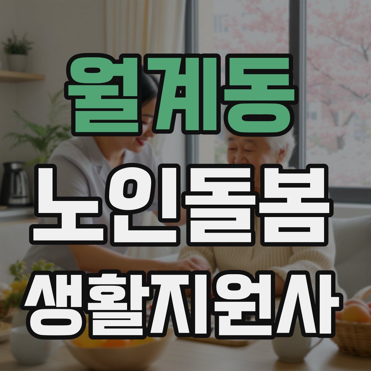 월계동 노인돌봄생활지원사 자격증