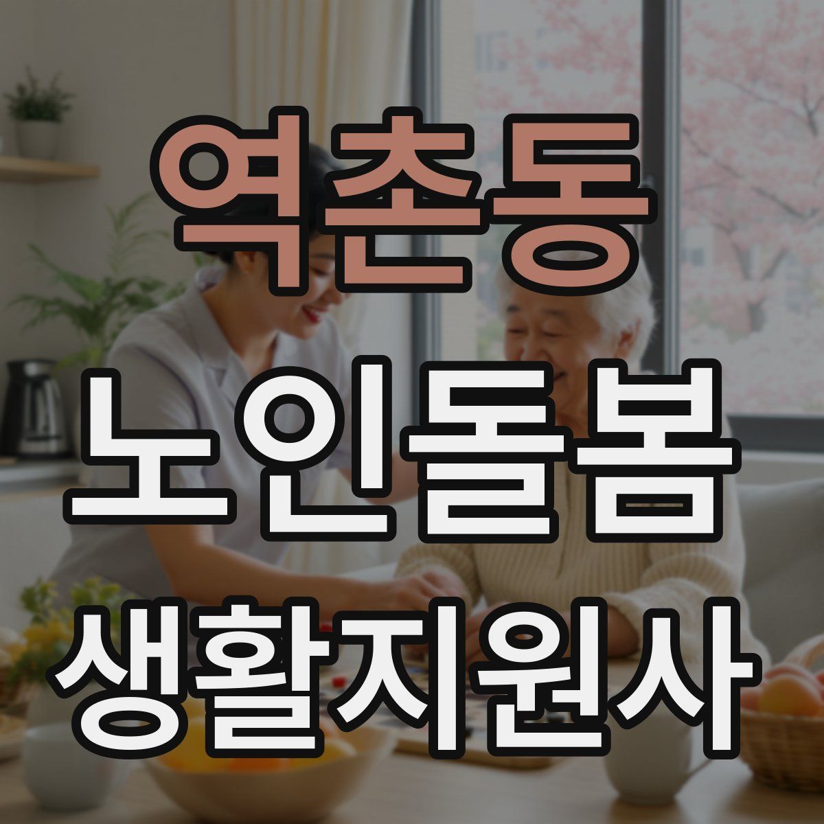 역촌동 노인돌봄생활지원사 자격증