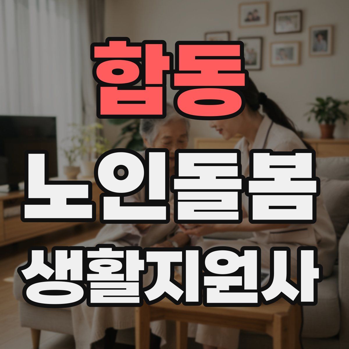 합동 노인돌봄생활지원사 자격증