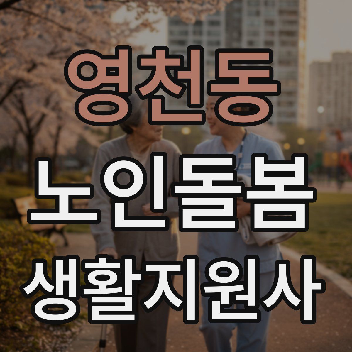 영천동 노인돌봄생활지원사 자격증