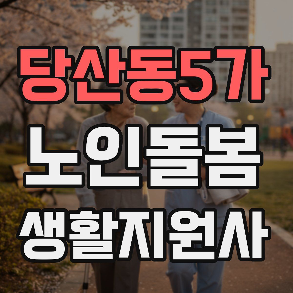 당산동5가 노인돌봄생활지원사 자격증