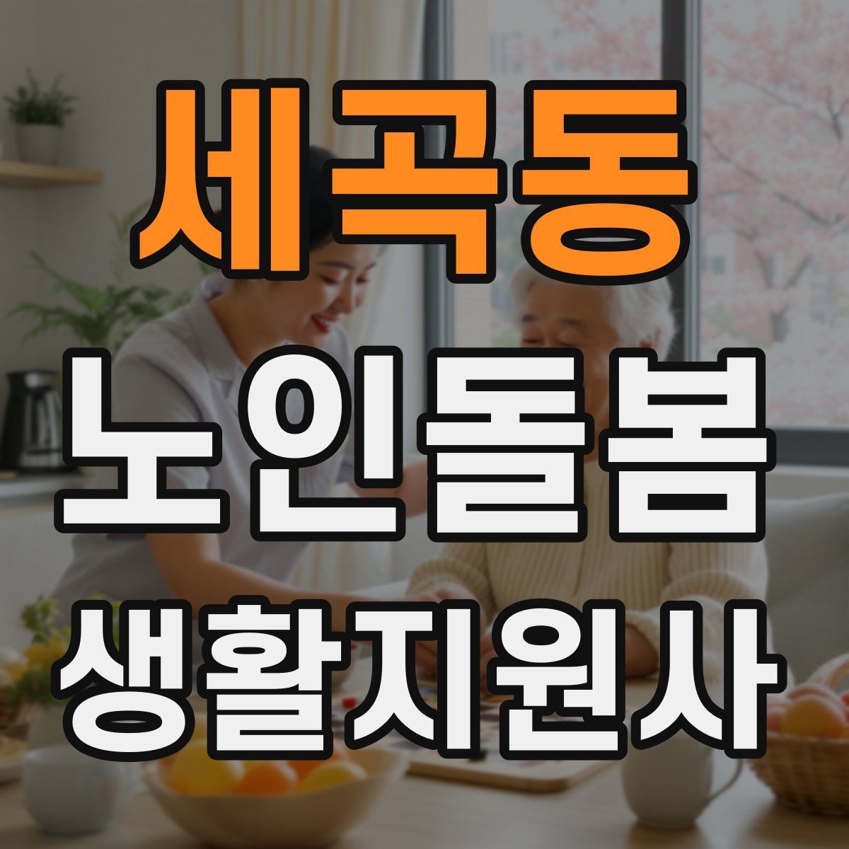 세곡동 노인돌봄생활지원사 자격증