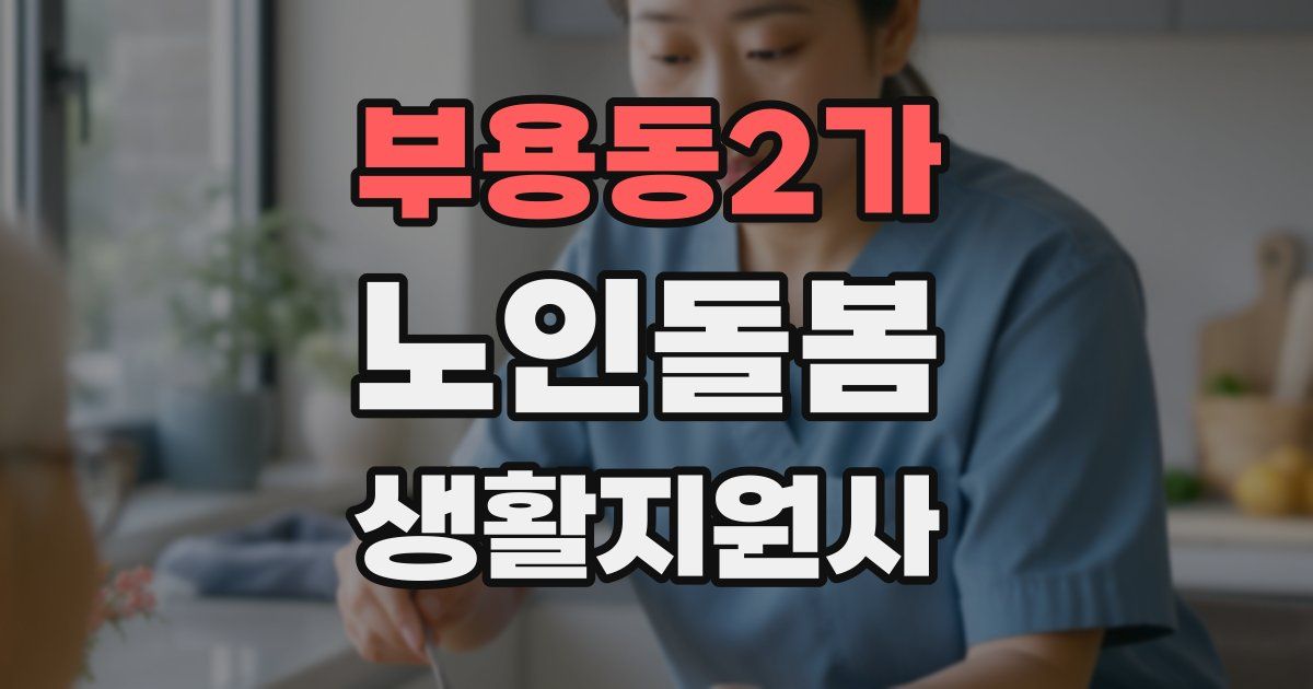 부용동2가 노인돌봄생활지원사 자격증