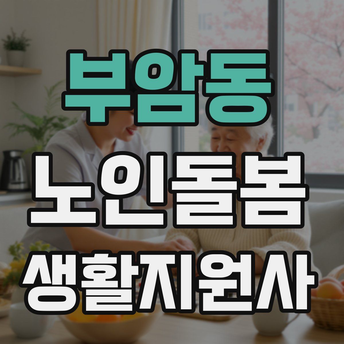 부암동 노인돌봄생활지원사 자격증