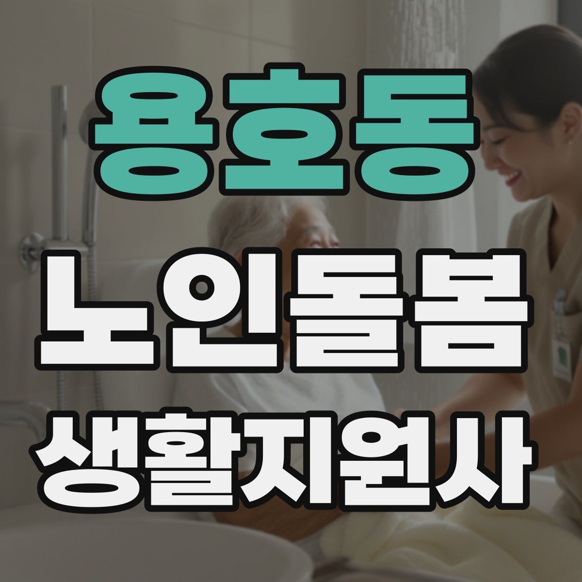 용호동 노인돌봄생활지원사 자격증