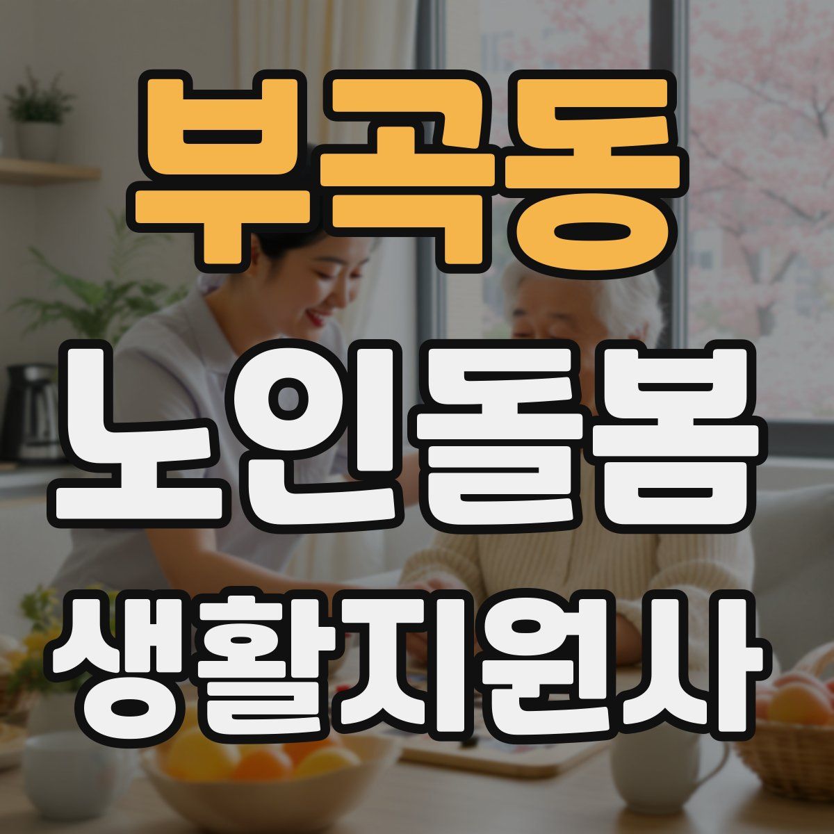 부곡동 노인돌봄생활지원사 자격증