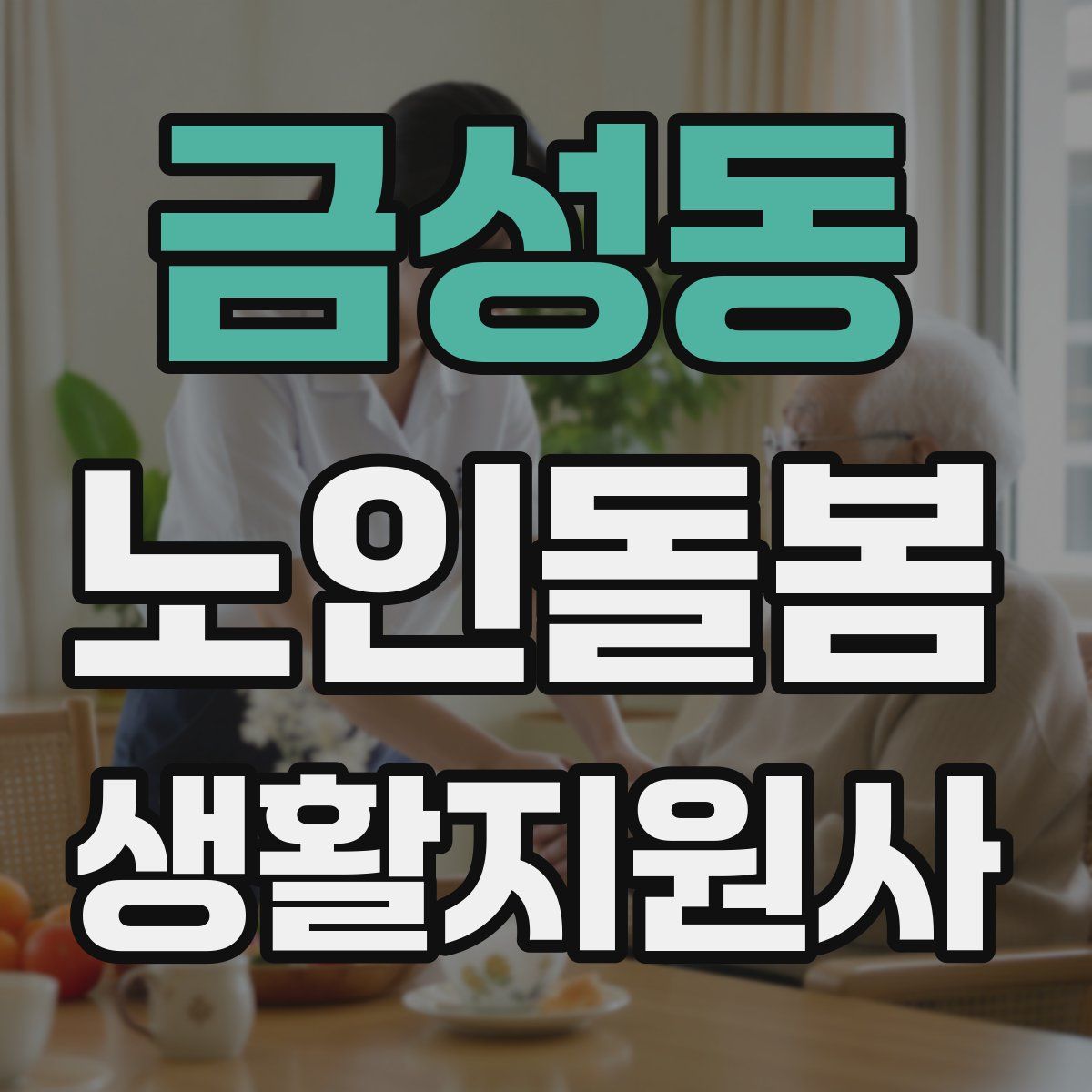 금성동 노인돌봄생활지원사 자격증