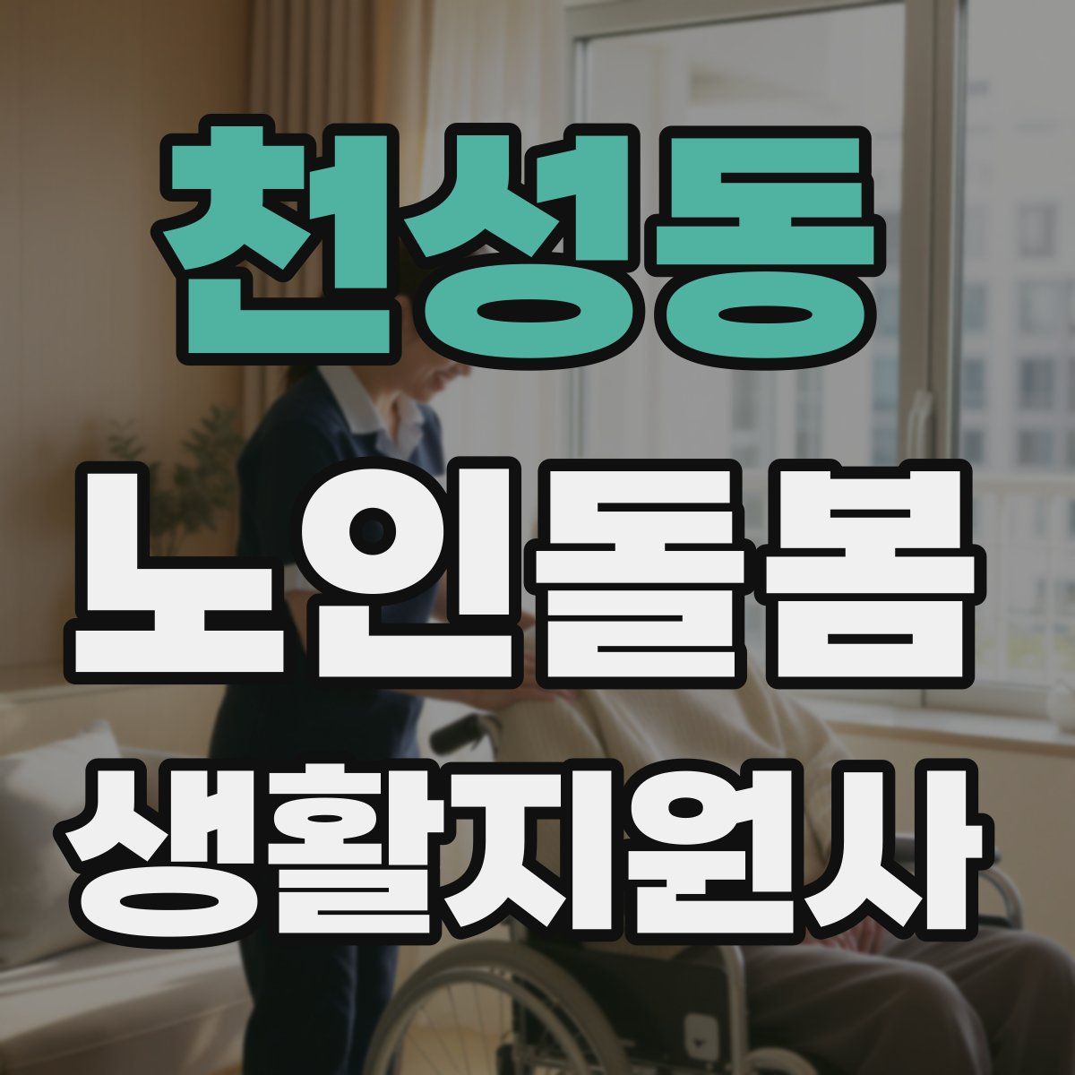천성동 노인돌봄생활지원사 자격증
