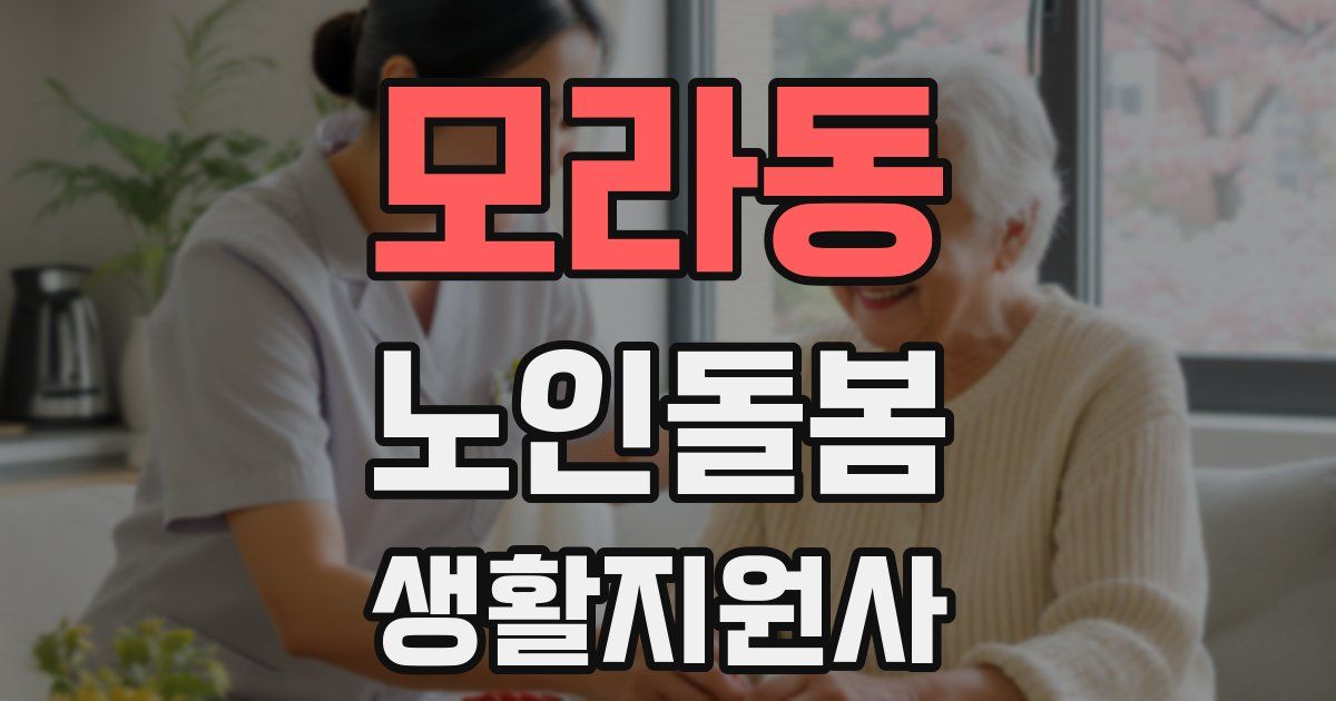 모라동 노인돌봄생활지원사 자격증
