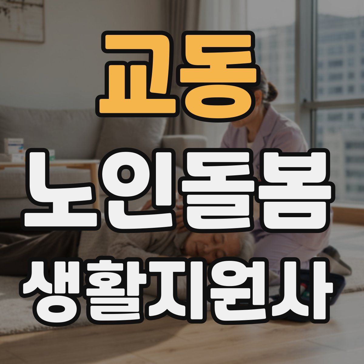교동 노인돌봄생활지원사 자격증