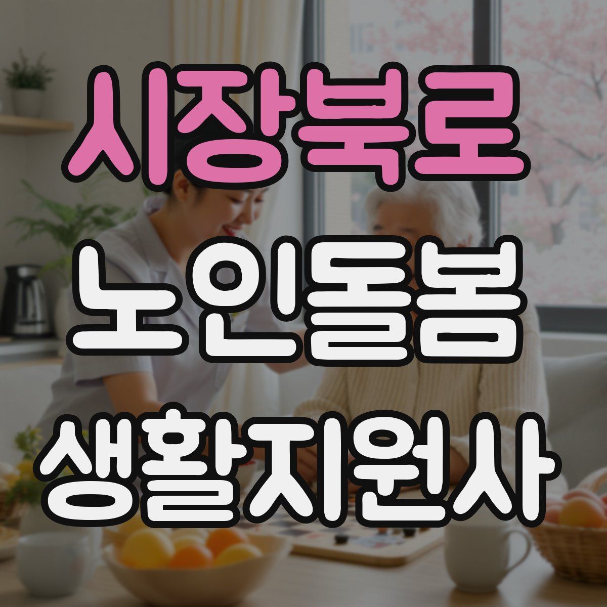 시장북로 노인돌봄생활지원사 자격증
