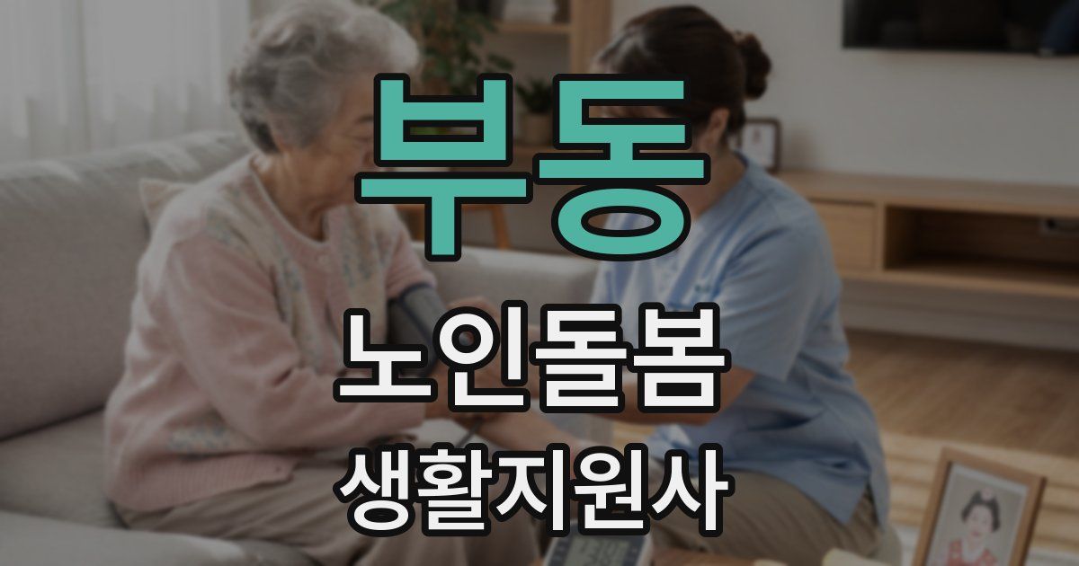 부동 노인돌봄생활지원사 자격증