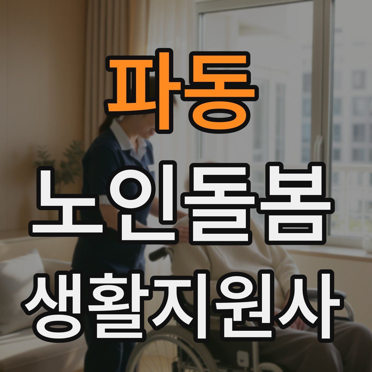 파동 노인돌봄생활지원사 자격증