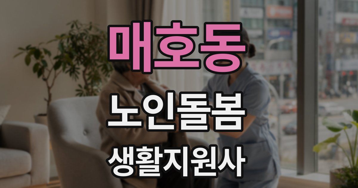 매호동 노인돌봄생활지원사 자격증