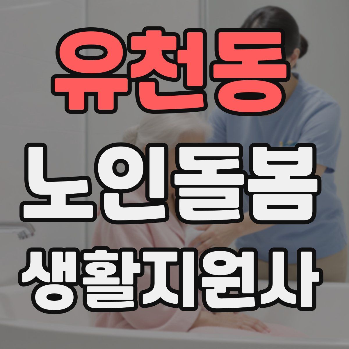 유천동 노인돌봄생활지원사 자격증