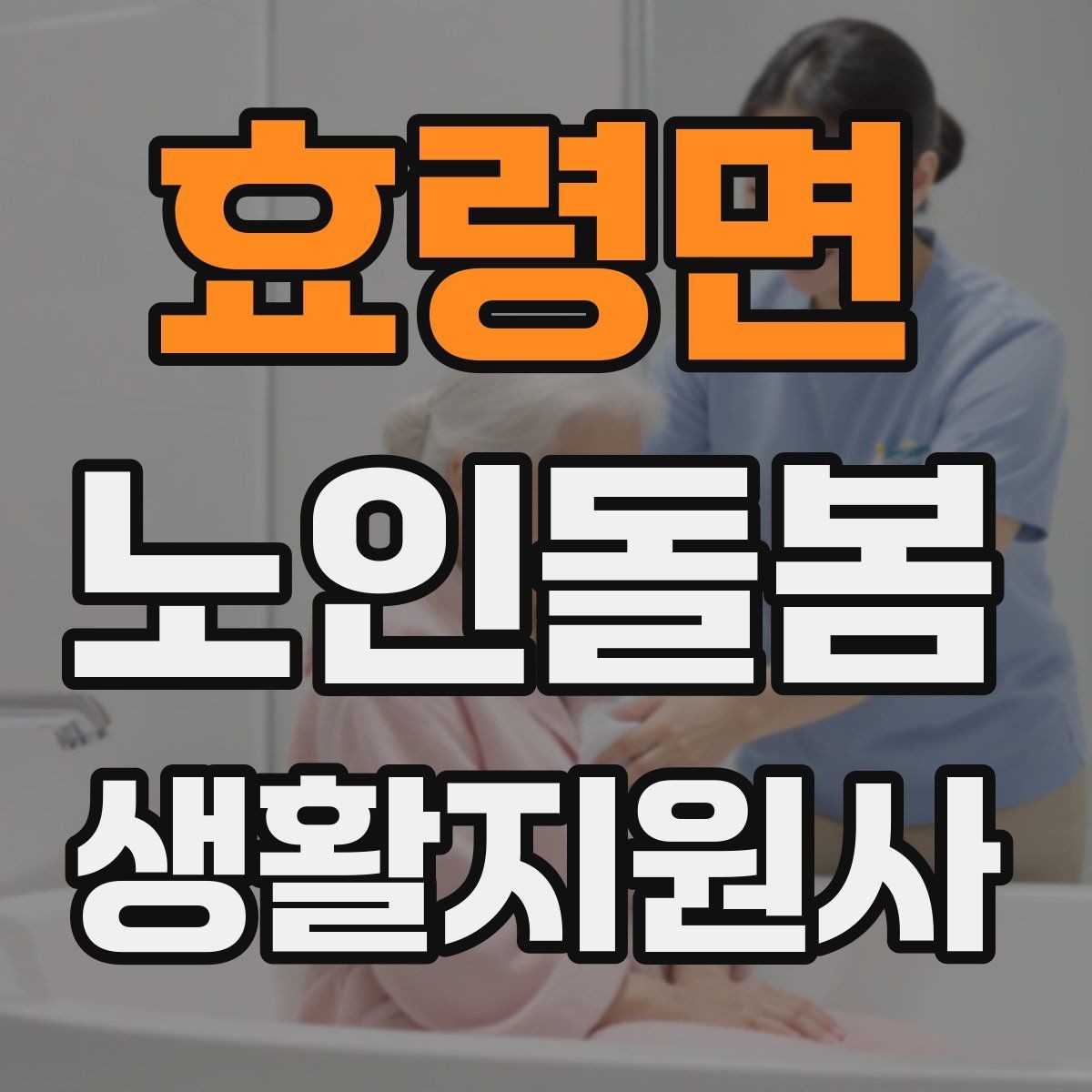 효령면 노인돌봄생활지원사 자격증 시험 방식과 준비 순서 정리