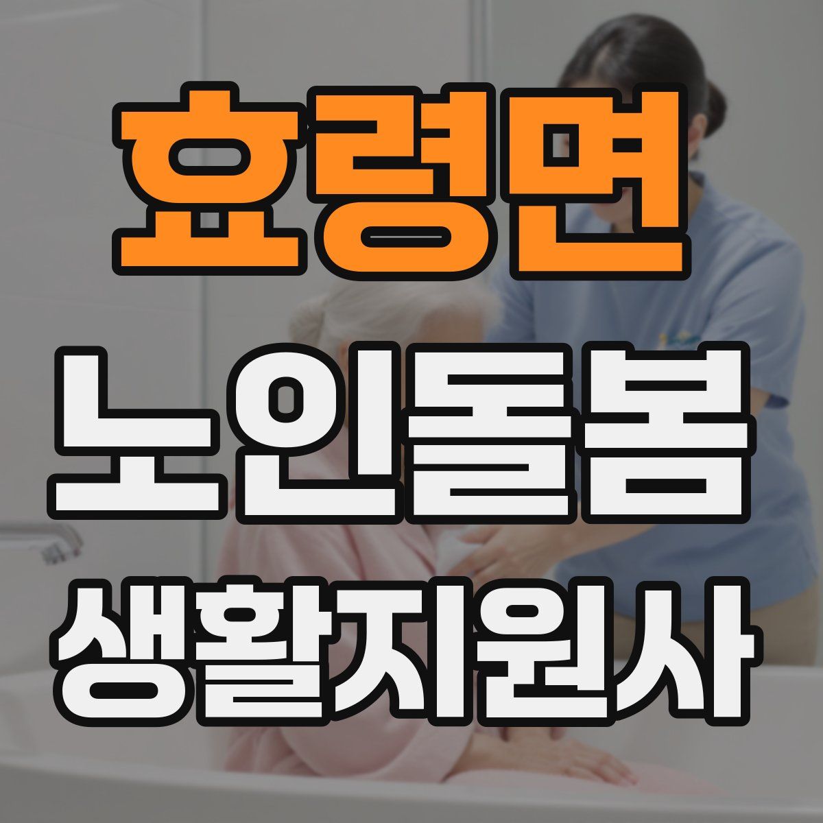 효령면 노인돌봄생활지원사 자격증