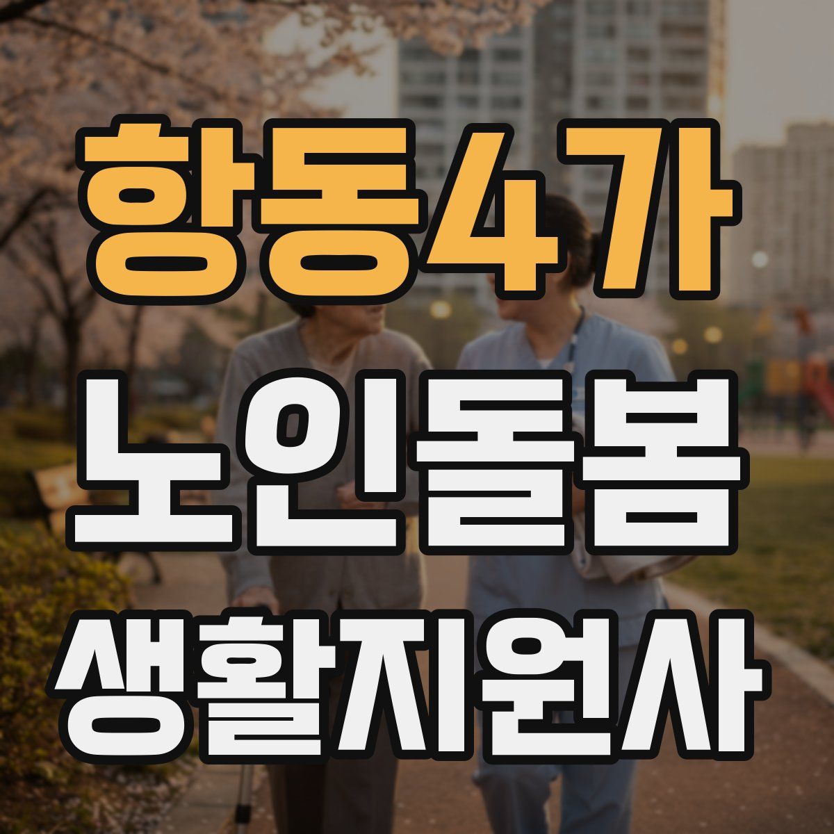 항동4가 노인돌봄생활지원사 자격증