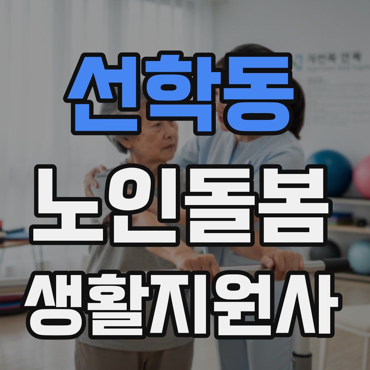 선학동 노인돌봄생활지원사 자격증