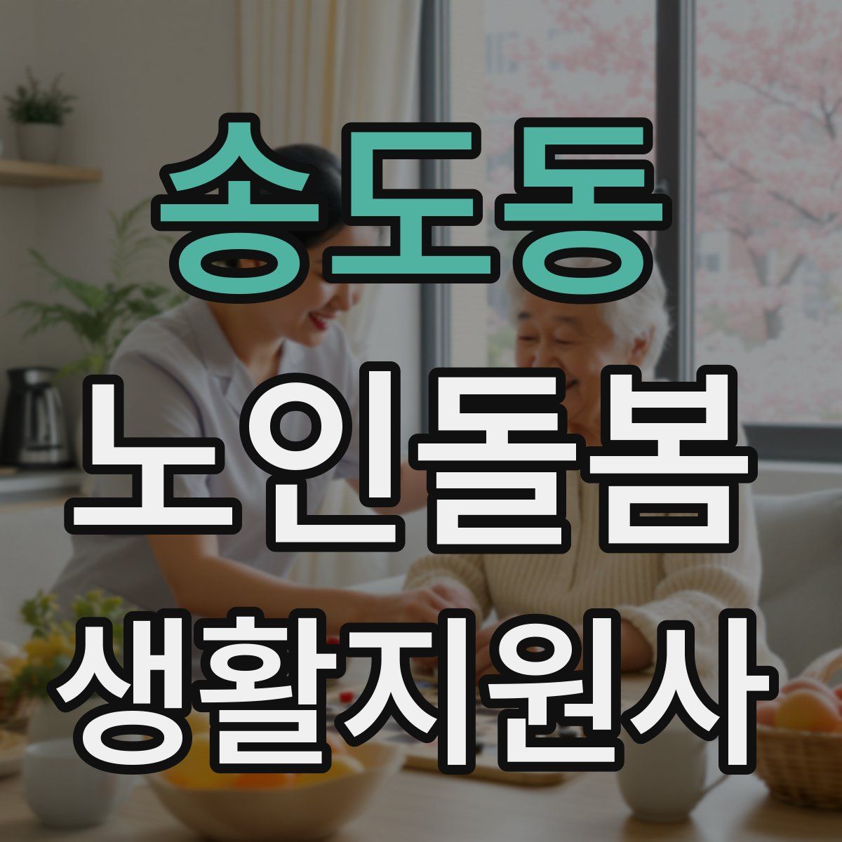 송도동 노인돌봄생활지원사 자격증