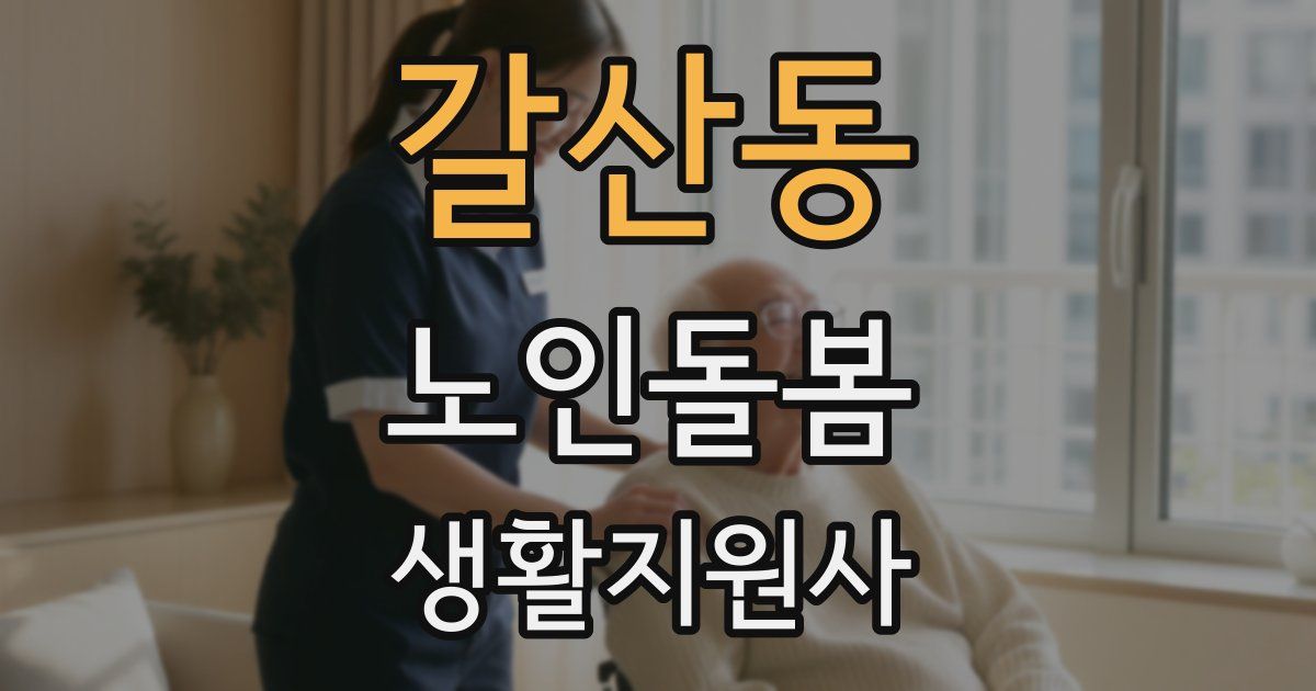 갈산동 노인돌봄생활지원사 자격증