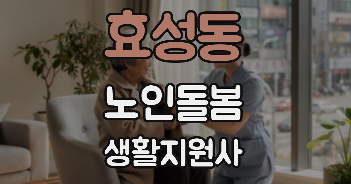 효성동 노인돌봄생활지원사 자격증