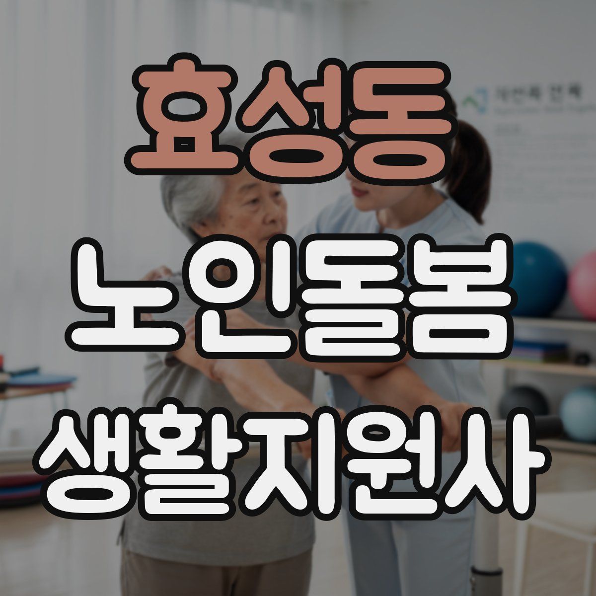 효성동 노인돌봄생활지원사 자격증
