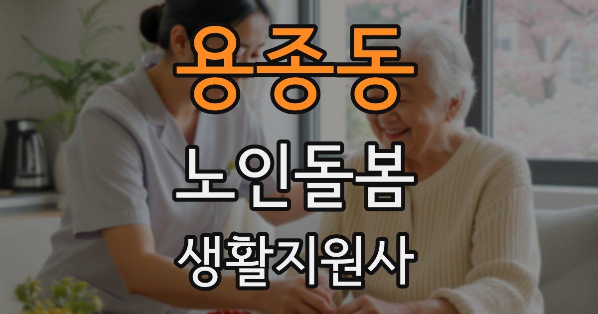 용종동 노인돌봄생활지원사 자격증