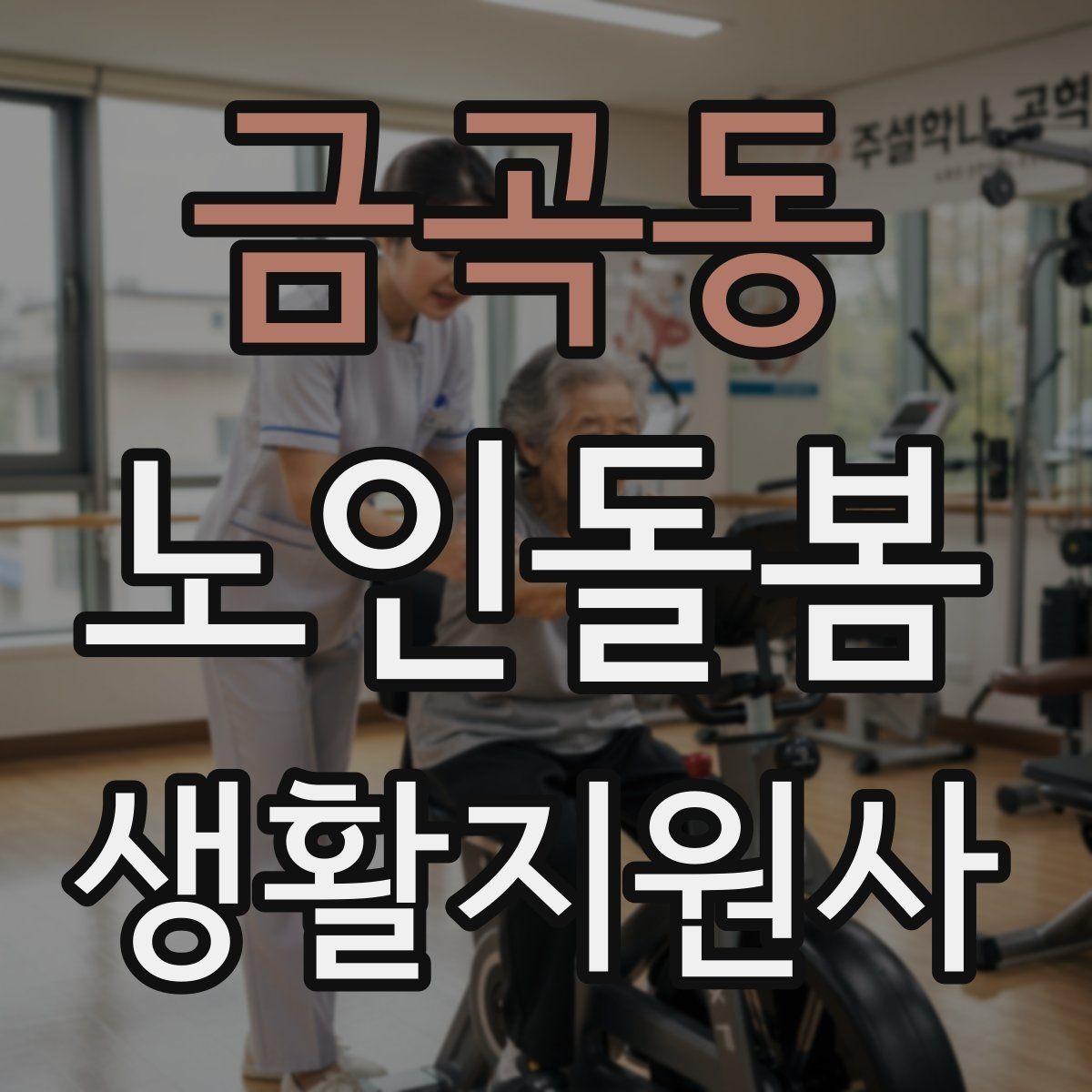 금곡동 노인돌봄생활지원사 자격증 시험 전날 정리해야 할 것만 모아보기