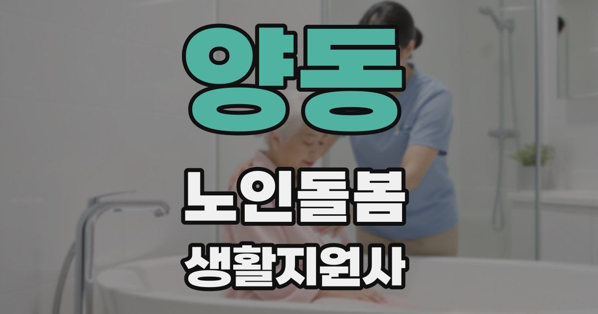 양동 노인돌봄생활지원사 자격증