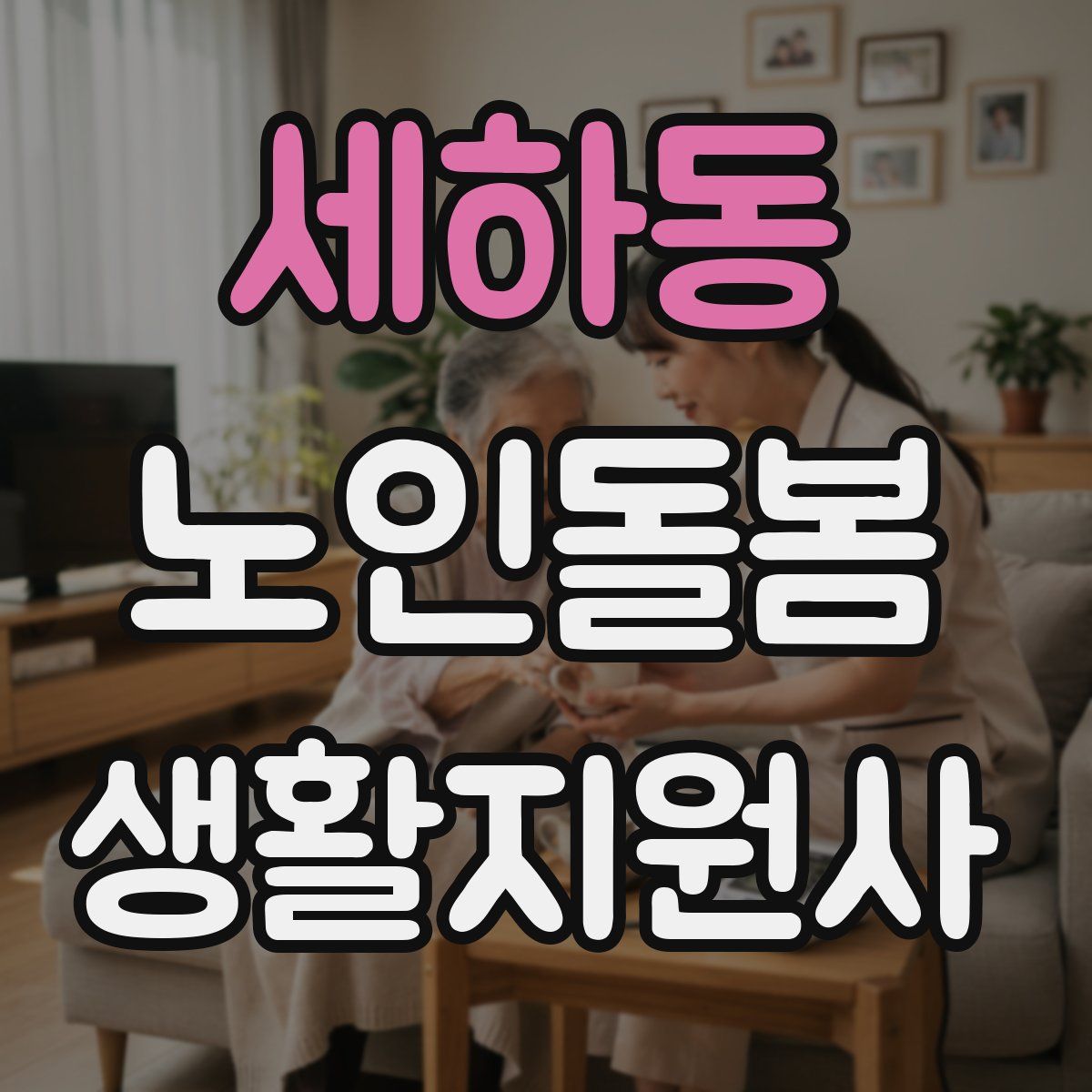 세하동 노인돌봄생활지원사 자격증