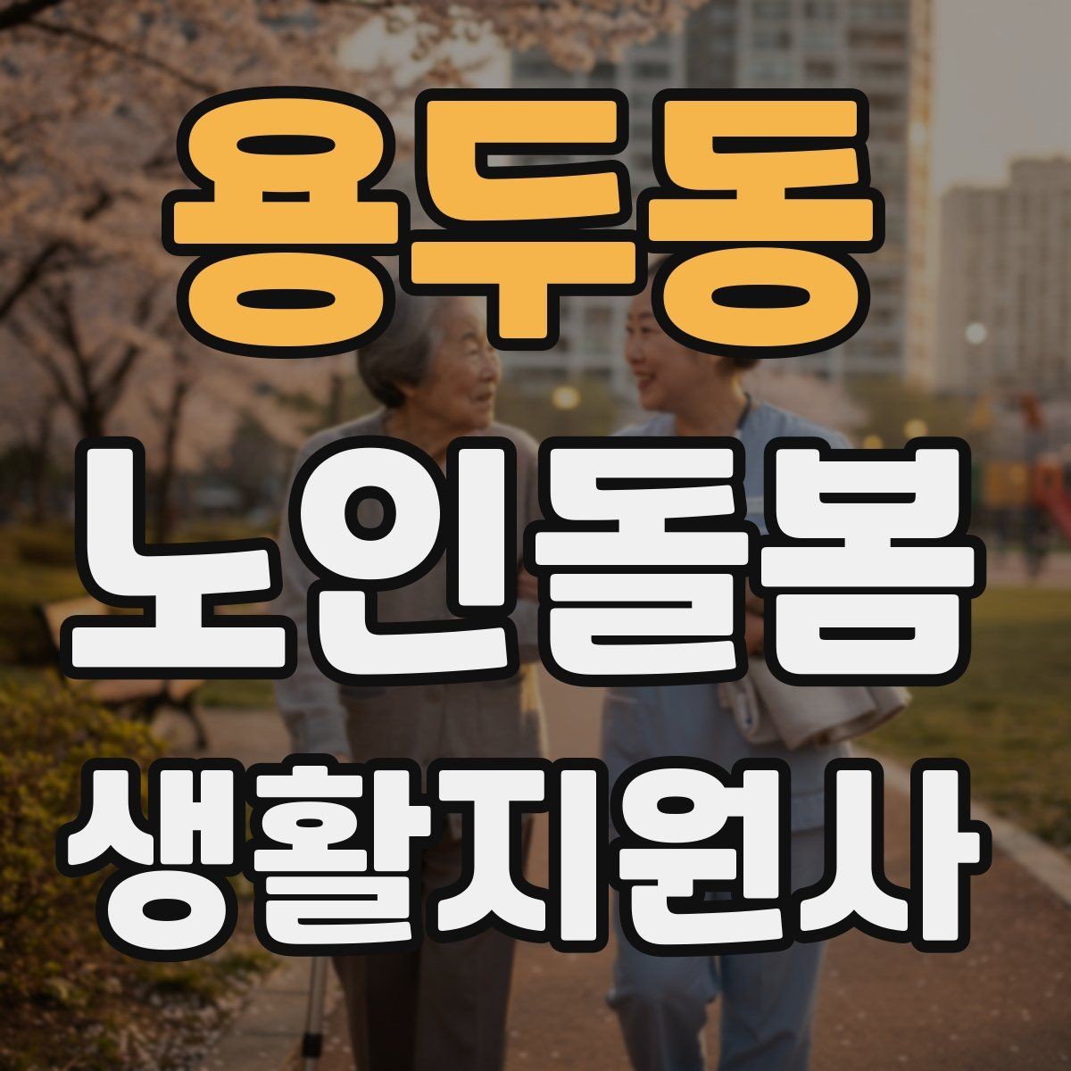 용두동 노인돌봄생활지원사 자격증 복약 확인은 어디까지 도와야 할까