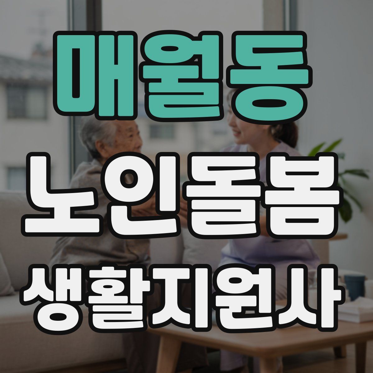 매월동 노인돌봄생활지원사 자격증