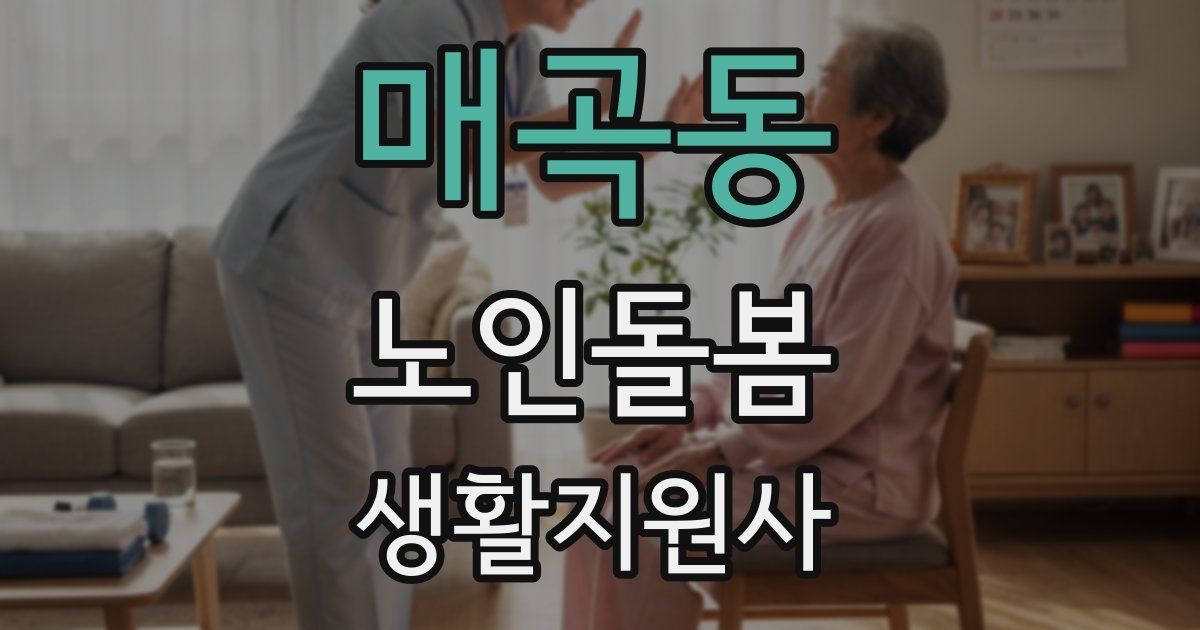 매곡동 노인돌봄생활지원사 자격증