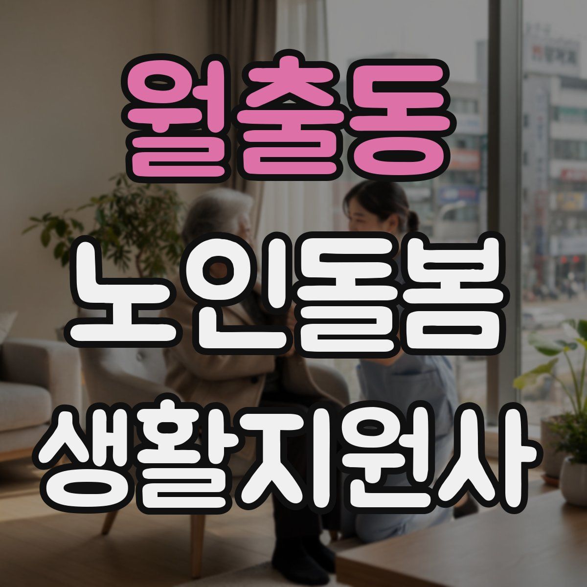 월출동 노인돌봄생활지원사 자격증