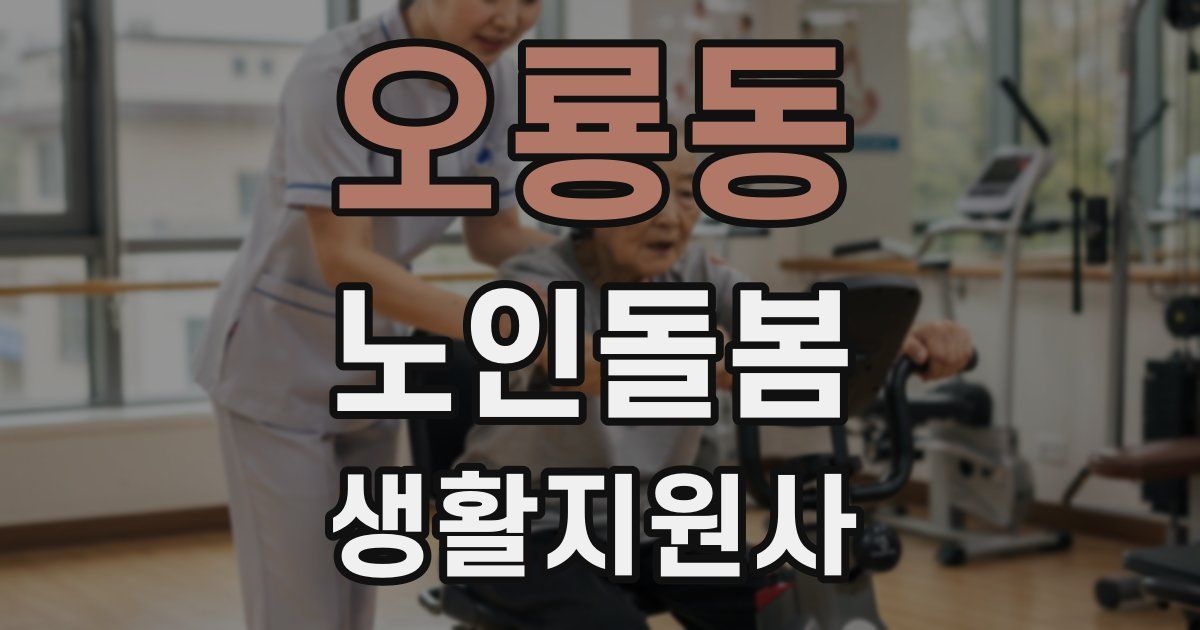 오룡동 노인돌봄생활지원사 자격증