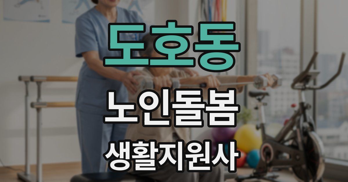 도호동 노인돌봄생활지원사 자격증