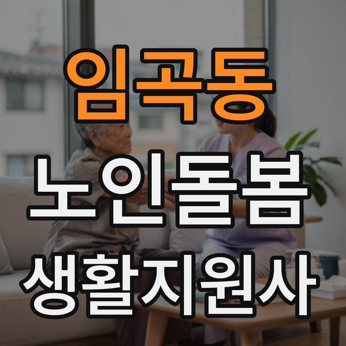 임곡동 노인돌봄생활지원사 자격증