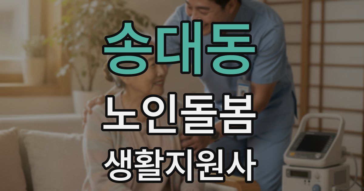 송대동 노인돌봄생활지원사 자격증